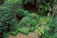 Buxus zigzag hedge in formal garden