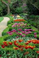 Long box parterre with hot coloured Tulips and stone planter - Myddelton House Gardens
 