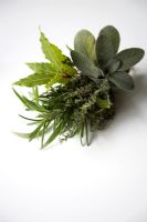 Small fresh posy of garden herbs - Bouquet garni