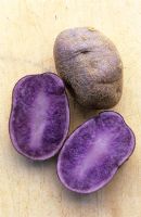Solanum tuberosum 'Salad Blue' - Potatoes