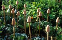 Decorative terracotta cane tops to protect eyes in the vegetable garden
