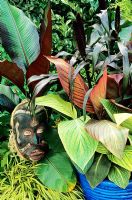 Jungle leaves centred on a blue glazed container and carved face mask. Canna 'Striata' and Tropicanna (red striped) with Pennisetum glaucum 'Purple Majesty'. Musa 'Maurelli' and Hakonechloa macra 'Alboaurea' in support