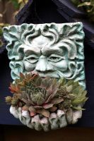 Small face mask of the Green Man fixed to the gable of a wooden dovecote and planted with drought resistant Sempervivum 