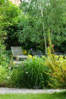 Wooden and medtal sun chairs, a multi-stem Betula pendula, syn. B. alba, Mimulus luteus and a Carex by a Natural Swimming Pond in Cambridge