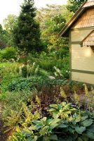 View of perennial ground cover planting in the borders around the Scott Arboretum Offices at Swarthmore College, PA, USA including Hostas, Heuchera and Ferns