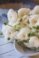 Bunch of white Ranunculus asiaticus lying on marble top