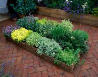 Herringbone brick terrace with raised herb bed - Hampton Court 2002 