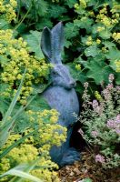 'Horace the Hare' sculpture by Dennis Fairweather surrounded by Alchemilla mollis and Thymus 'Silver Posie'