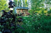 Corylus avelana 'Purpurea' and Anthriscus sylvestris in meadow with view to garden pavilion - The Lucy Redman School of Garden Design, Suffolk 