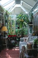 Conservatory interior with sofa and Brugmansia x candida syn Datura x candida