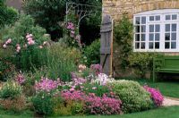 Pink border beside the house with Phuopsis stylosa, Hebe rakens, Verbascum chiaxii album, Rosa 'Queen Elizabeth', Papaver, Allium christophii - Oxfordshire
