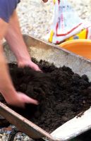 Mixing organic matter with garden soil before planting