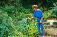 Lady using hosepipe with Hoselock spray attachment to water flower beds
