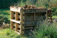 Wooden compost bin on allotment