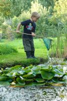 Boy fishing for pond life with net