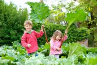 Little boy and girl in a rhubarb field holding rhubarb