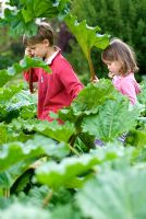 Boy and girl walking through a rhubarb field holding rhubarb 