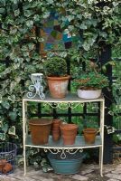 Terracotta pots on metal and glass etagere in front of ivy clad stained glass window