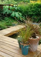 Painted pots with Phormium 'Bronze Baby', Pheasant Grass, Rhodiola heterodonta, on decking over small pond. Tetrapanex papyrifer and Phyllostachys nigra