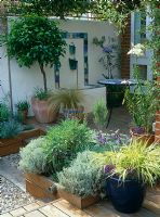 Raised decked patio with Lemon tree, Hackonechlea macra 'Alboaurea' in blue glazed pot, Santolina and Lavandula, tiled water feature and mosaic topped table