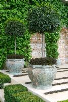 Laurus nobilis underplanted with Trifolium repens 'Purpurascens' in decorative containers on a paved terrace with ornamental grotto niches in The Fortnum and Mason Garden at Chelsea 2007