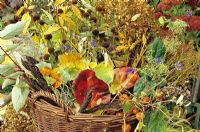 Basket with deadheaded cuttings 