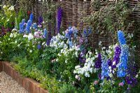 Delphinium and Matthiola in summer border -'Then and Now', Hampton Court 2007 
