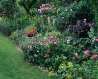 Border filled with Rosa