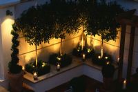 Modern roof garden with white raised bed, glass candle holders, clipped box, white gravel and standard Photinias
