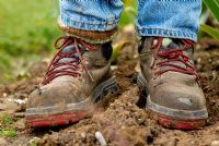 Well worn muddy work boots standing in garden soil.