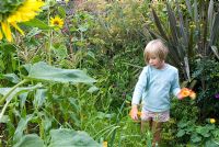 Young girl picking flowers from summer border - blurred motion