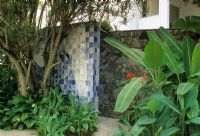 Contemporary blue and white tiled wall beside stone wall and tropical style planting of Canna and Musa - Instituto Moreira Salles, Rio de Janiero, Brazil 