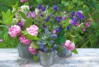 Outdoor still life with Aquilegia, Roses and Ceanothus in metal buckets  