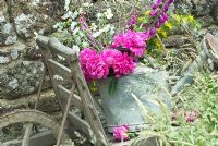 Still Life outdoors with flowers in galvanised watering can on old rustic wheelbarrow 