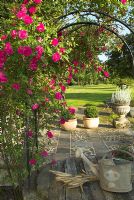 French garden and patio. Old well with climbing rose growing on trellis, galvanised watering can and bunch of wheat on wooden cover - Pots of Buxus  Sempervirens in background. 