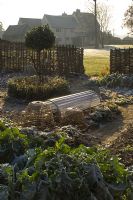 Frosted vegetable garden enclosed by willow fence - Pannells Ash Farm, Essex