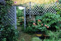 Small walled patio garden with trellis and mirror used to cover shed door 