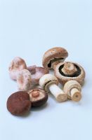 Selection of Mushrooms