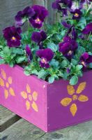 Purple mothers day box planted with Violas