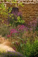 The gravel garden with Betula nigra, Stipa tenuissima, pink Monardas, Lithrum 'Robert' and Rudbeckia 'Green Wizard'