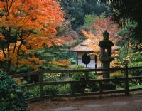 The Japanese garden at Tatton Park in Cheshire. Shinto temple surrounded Autumn coloured Acers - Japanese Maples
