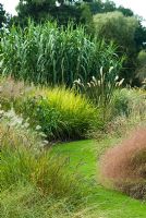 Curved path through borders with mixed grasses and Arundo donax in the background, August.