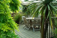 Raised decking with table and chairs. Robinia pseudoacacia  Frisia  and Cordyline. Garden design inspired by Daintree forest, Australia