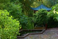 Chinese influenced garden - Scholar's Garden. Ginkgo cultivar on the left. Pinus mugo - welcoming pine by steps - Wiltshire