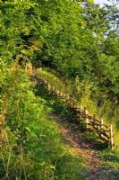 Path into woodland, woven fence made with natural wood felled from the wood