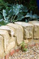 Low retaining stone wall in roof garden where organic, edible plants are grown - Educational resources, Reading International Solidarity Centre