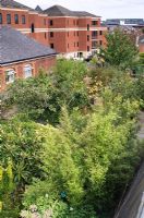 Urban roof garden where organic, edible plants are grown. Educational resources,   Reading International Solidarity Centre,   Berkshire