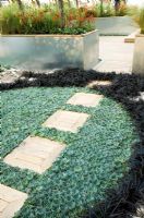 Circular planting of Echeveria and Ophiopogon with path - 'Amnesty International Garden for Human Rights', Chelsea 2007  

  