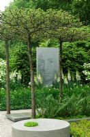 Millstone and picture of Linnaeus in border of white Digitalis, Iris and Ferns. Pleached Malus 'Evereste' trees - 'A Tribute to Linnaeus', Chelsea 2007 