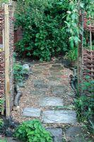 Finished path made from slabs and pebble mulch with weed suppressant fabric beneath. Neglected path in need of repair, viewed through willow archway. Corylus avellana 'Contorta' in background.